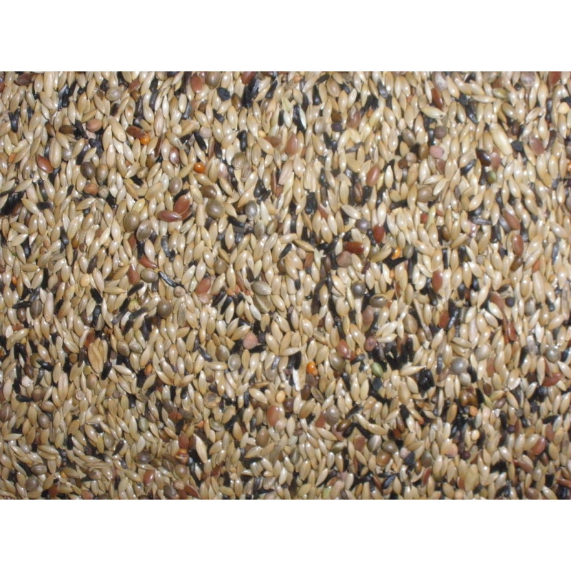 Beyers No.80 - Canary Breeding without Rapeseed Beyers No.80 - Canary Breeding without Rapeseed