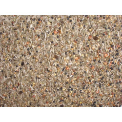 Beyers No.94 - Wild Seeds
