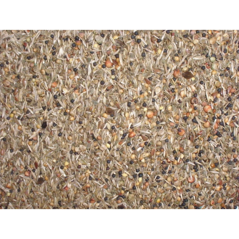 Beyers No.94 - Wild Seeds