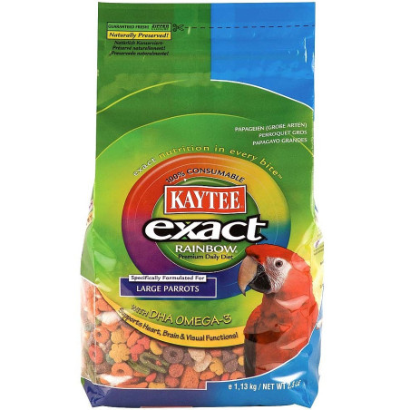 Exact Rainbow Chunky - Large Parrot