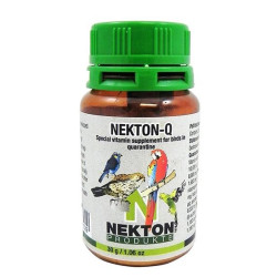 Nekton Q