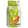 Witte Mollen Country Canary