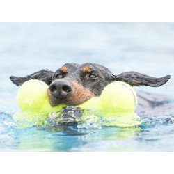 Kong Airdog® Squeaker Bone