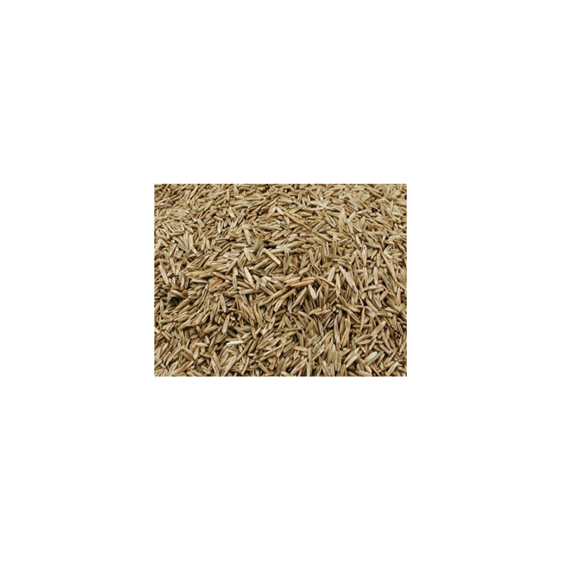 Vadigran Grass Seeds 3kg
