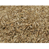 Vadigran Grass Seeds 3kg