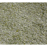 Vadigran Lettuce Seeds 3kg