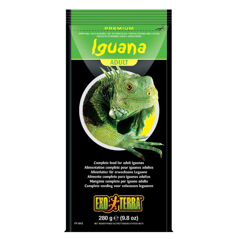 Adult Iguana food Adult Iguana food