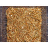 Mealworms