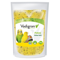 Vadigran Patee Soft Yellow...