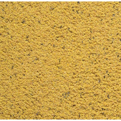 Orlux Gold Patee Canaries