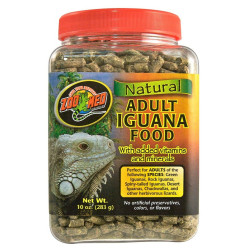 Zoomed  Iguana food Adult