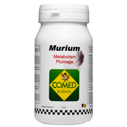 Comed Murium Bird